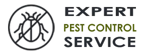Exterminator Company Renton WA